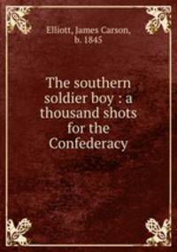 The southern soldier boy : a thousand shots for the Confederacy