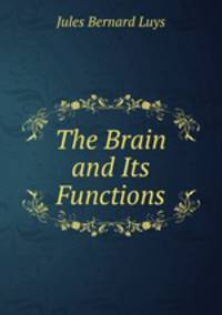 The Brain and Its Functions
