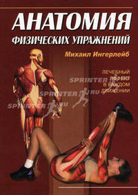 Анатомия физических упражнений дп