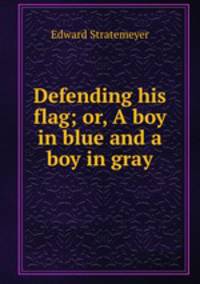 Defending his flag; or, A boy in blue and a boy in gray