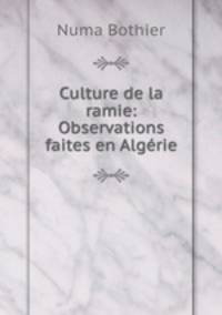 Culture de la ramie: Observations faites en Algerie
