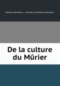De la culture du Murier