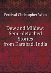 Dew and Mildew: Semi-detached Stories from Karabad, India