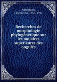 Recherches de morphologie phylogenetique sur les molaires superieures des ongules