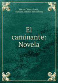 El caminante: Novela