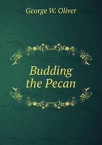 Budding the Pecan