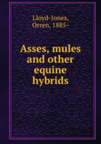 Asses, mules and other equine hybrids
