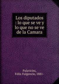 Los diputados : lo que se ve y lo que no se ve de la Camara