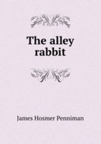 The alley rabbit
