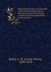 Report on the mines and minerals of New Brunswick microform : with an account of the present condition of mining operations in the province
