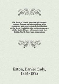 The ferns of North America microform : colored figures and descriptions, with synonymy and geographical distribution, of the ferns (including the ophioglassaceae) of the United States of America and the British North American possessions