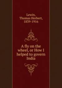 A fly on the wheel, or How I helped to govern India