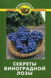 Секреты виноградной лозы