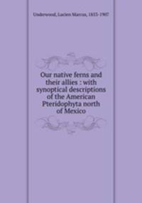 Our native ferns and their allies : with synoptical descriptions of the American Pteridophyta north of Mexico