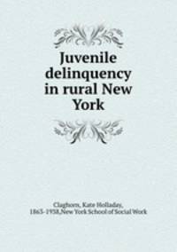 Juvenile delinquency in rural New York