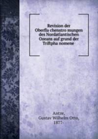 Revision der Oberfla?chenstro?mungen des Nordatlantischen Ozeans auf grund der Triftpha?nomene