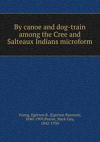 By canoe and dog-train among the Cree and Salteaux Indians microform