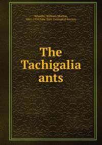 The Tachigalia ants