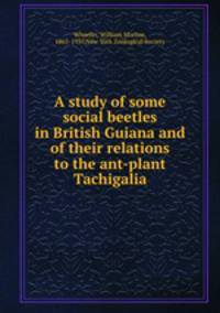 A study of some social beetles in British Guiana and of their relations to the ant-plant Tachigalia