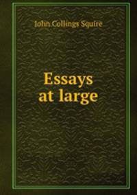 Essays at large