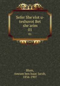 Sefer She`elot u-teshuvot Bet she`arim. 01