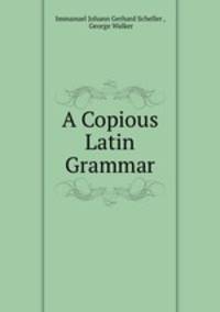 A Copious Latin Grammar