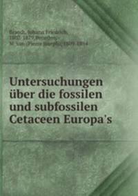 Untersuchungen uber die fossilen und subfossilen Cetaceen Europa