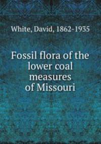 Fossil flora of the lower coal measures of Missouri