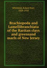 Brachiopoda and Lamellibranchiata of the Raritan clays and greensand marls of New Jersey