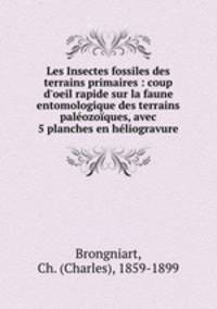 Les Insectes fossiles des terrains primaires : coup d