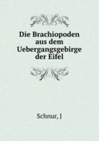 Die Brachiopoden aus dem Uebergangsgebirge der Eifel