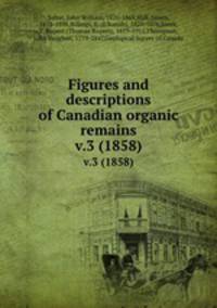 Figures and descriptions of Canadian organic remains. v.3 (1858)