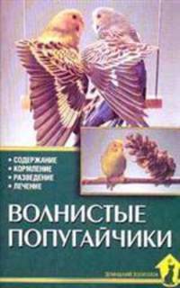 Волнистые попугайчики