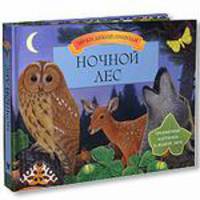 Ночной лес
