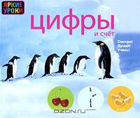 Цифры и счет