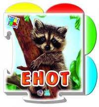 Енот