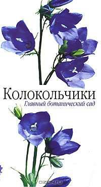 Колокольчики - (Главный ботанический сад)