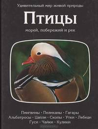 Птицы морей, побережий и рек