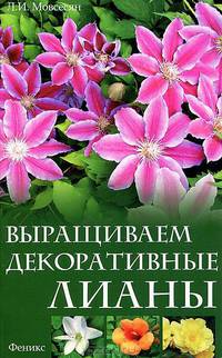 Выращиваем декоративные лианы