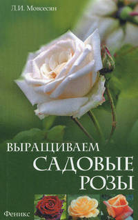 Выращиваем садовые розы.