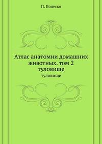 Атлас анатомии домашних животных. Том 2. Туловище