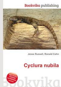 Cyclura nubila