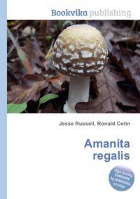 Amanita regalis