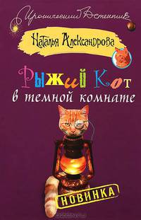 Рыжий кот в темной комнате