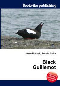 Black Guillemot