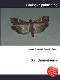 Xanthomelaena