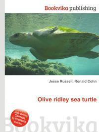 Olive ridley sea turtle