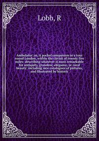 Ambulator: or, A pocket companion in a tour round London, within the circuit of twenty five miles: describing whatever is most remarkable for antiquity, grandeur, elegance, or rural beauty: including new catalogues of pictures, and illustrated by his