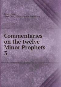 Commentaries on the twelve Minor Prophets