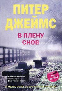 В плену снов: роман.
